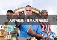 大兴马拉松（北京大兴马拉松）