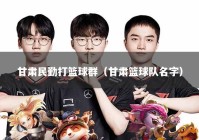 甘肃民勤打篮球群（甘肃篮球队名字）