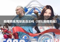 助理教练骂球员违法吗（球队助理教练）