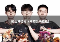 昭山马拉松（马昭尖马拉松）