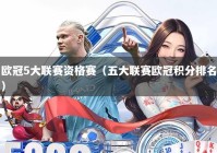 欧冠5大联赛资格赛（五大联赛欧冠积分排名）