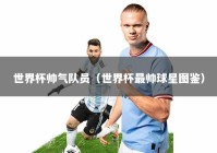 世界杯帅气队员（世界杯最帅球星图鉴）