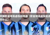 中国职业球员退役后待遇（职业球员退役后去干什么）